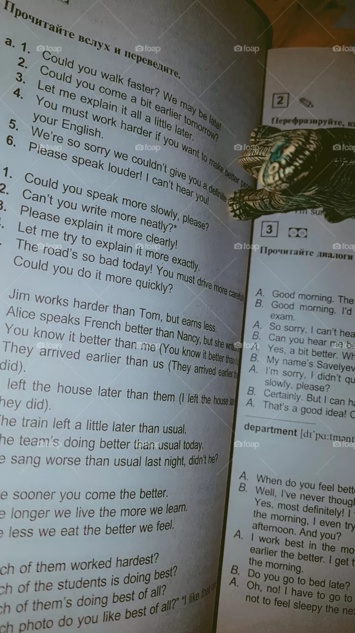 dinosaur