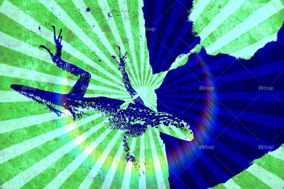 Psychedelic lizard 