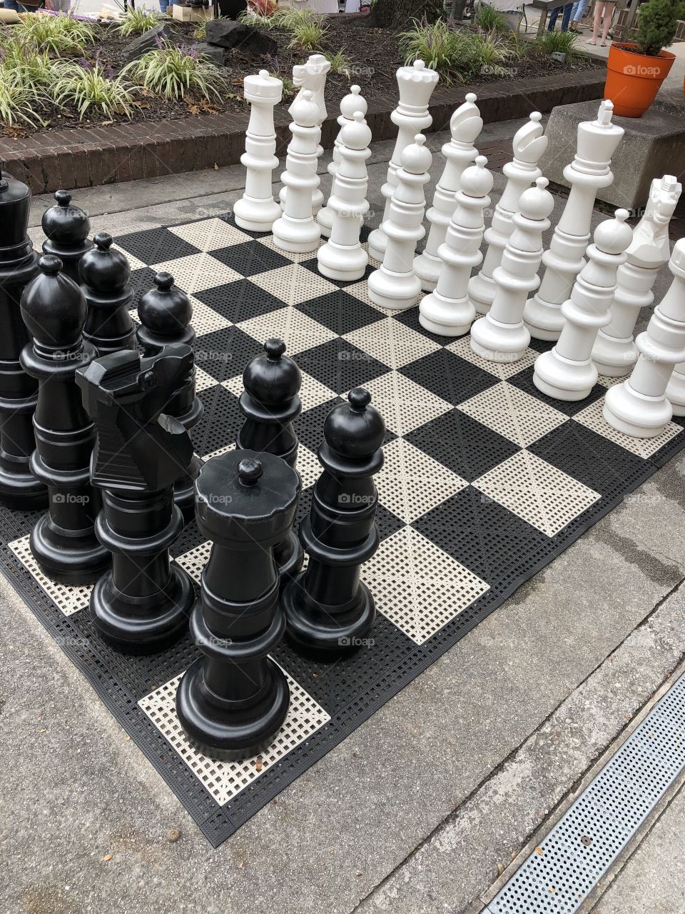 Chessboard 