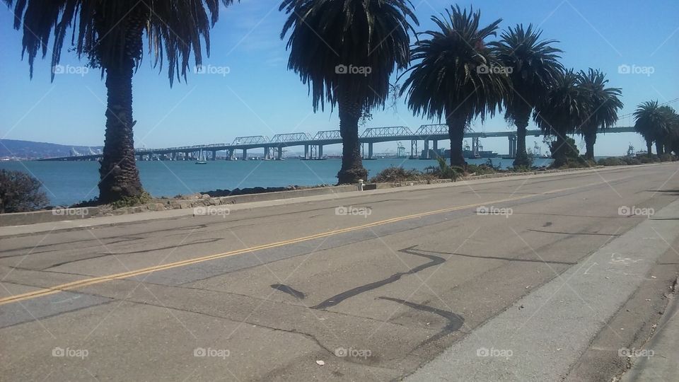 view of bay bridge