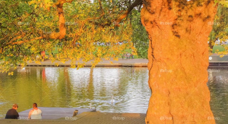 River . Stratford upon Avon