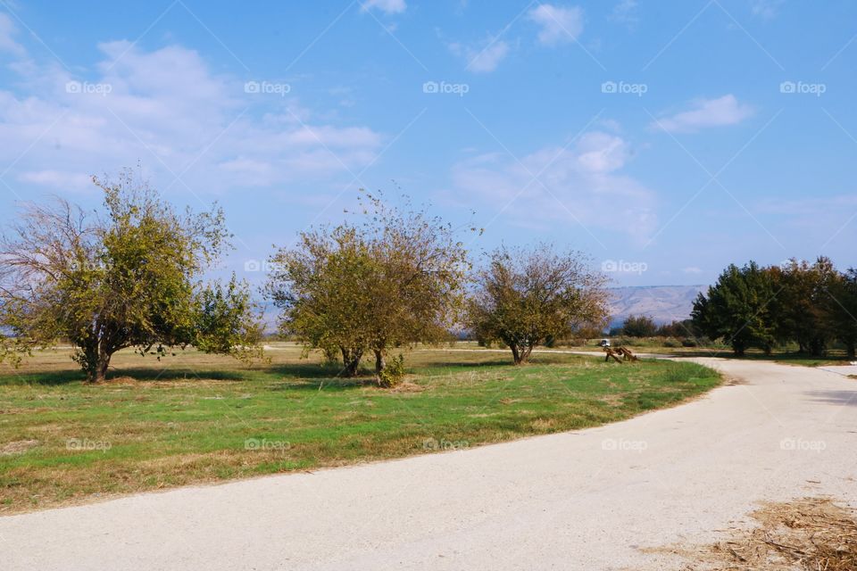 Hula lake beautiful roads.