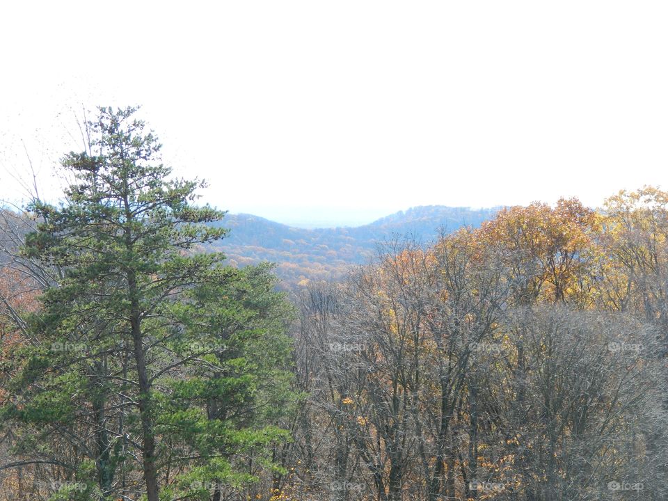 lookout point in the autumn