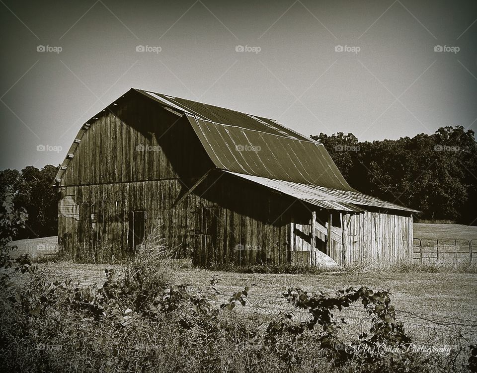 Hot Summers Day Of Old