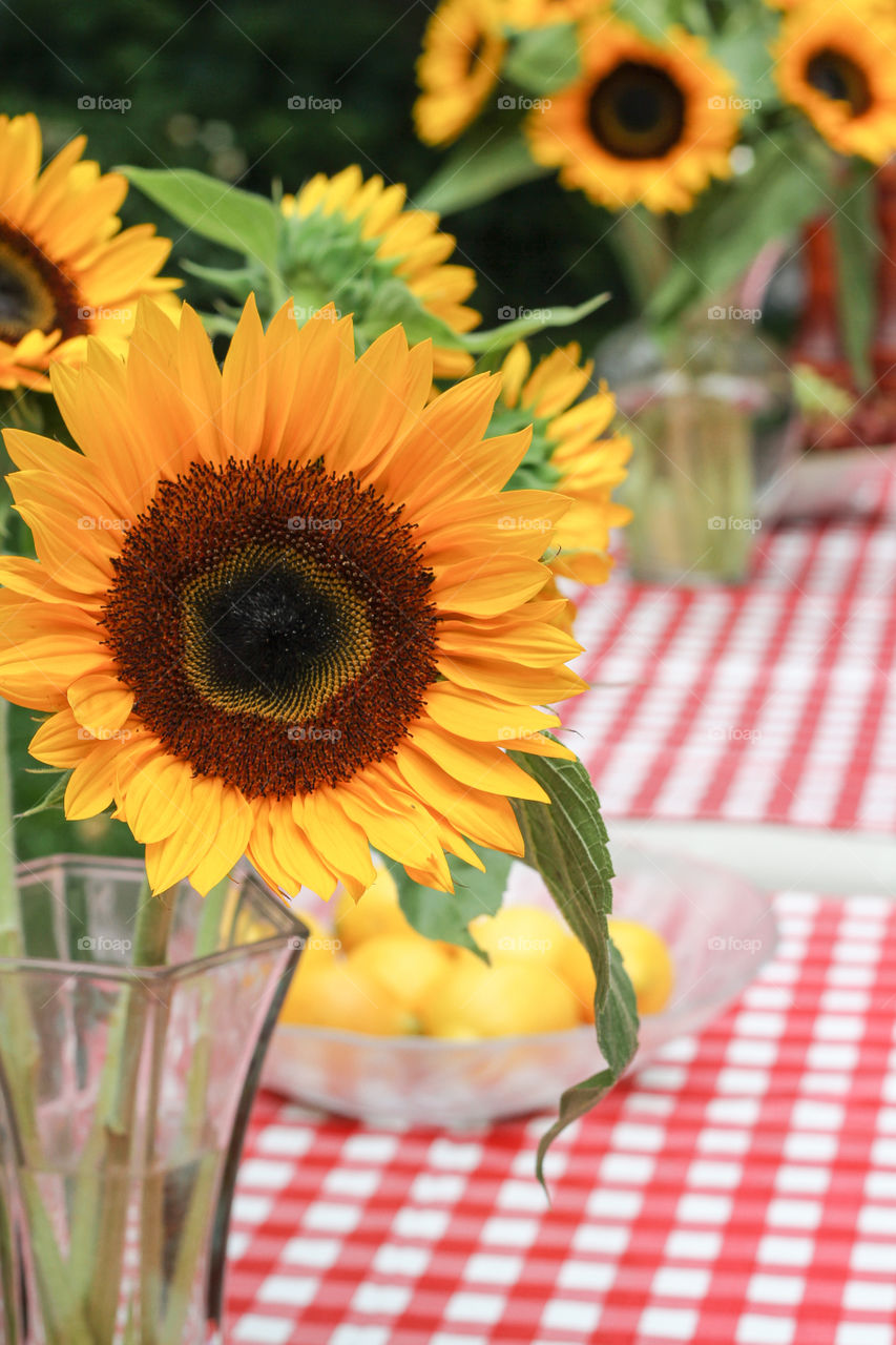 Big yellow sunflower on a red plaid table