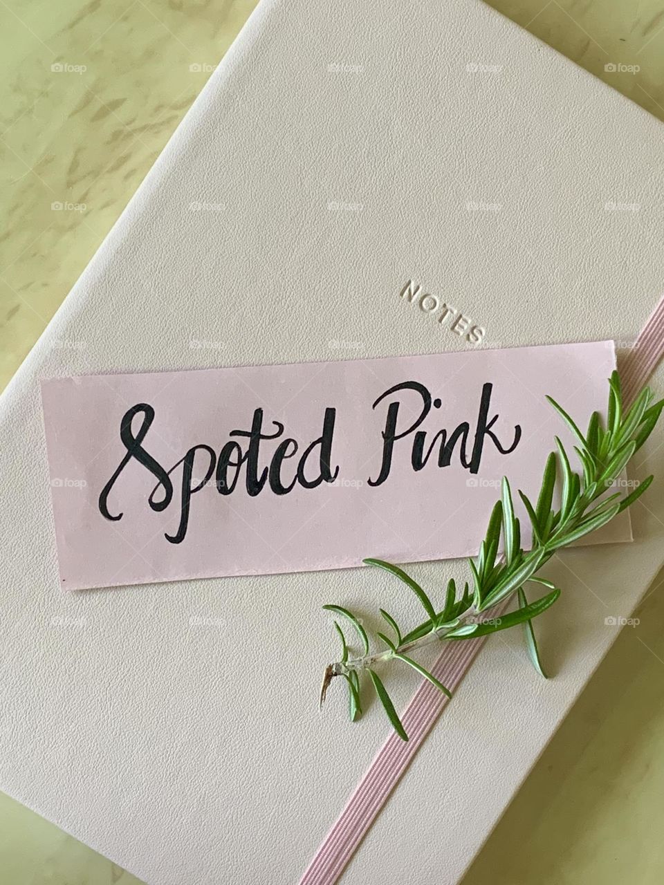 Writing Calligraphy or just a natural hand writing is one of my favorite thing to do. I wrote a spoted pink, perfect for the subject.