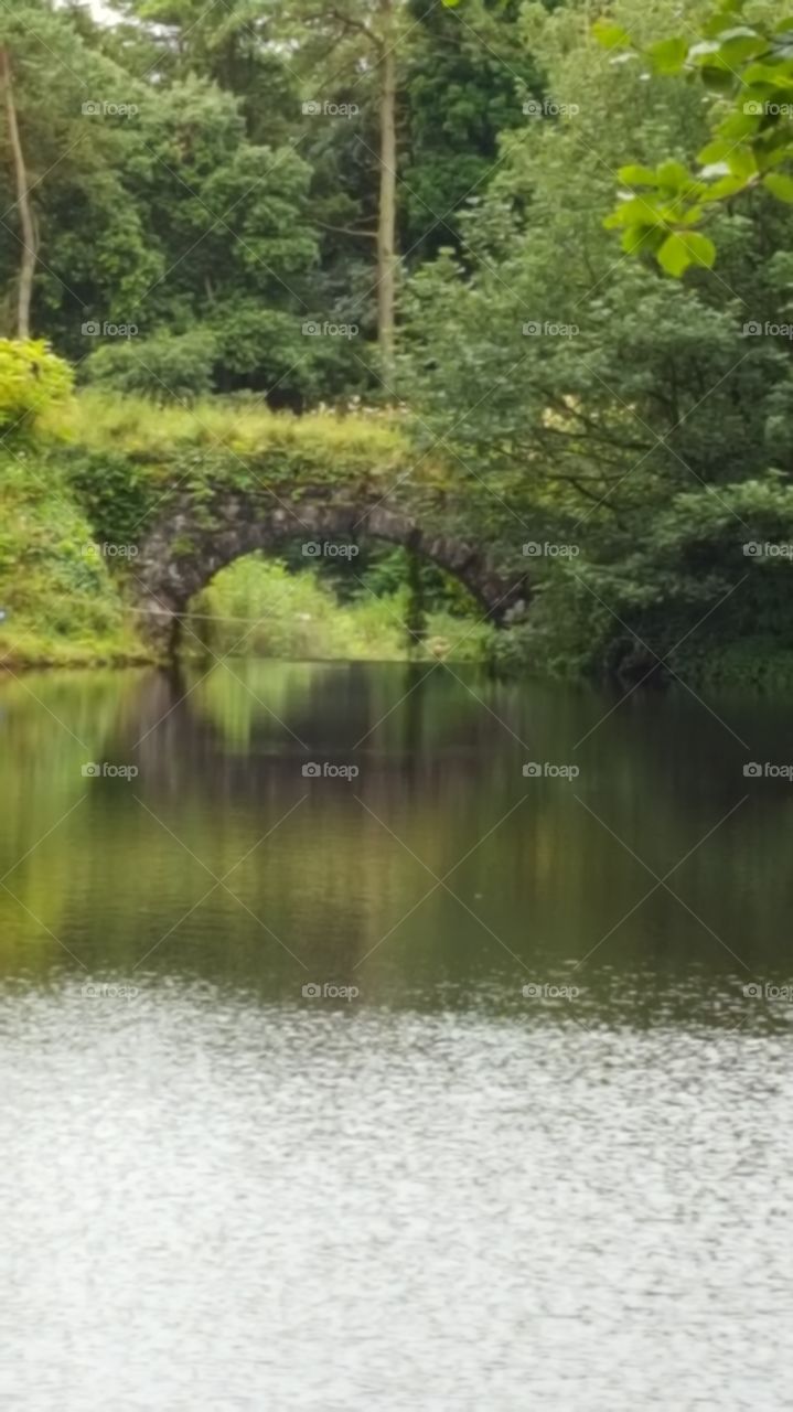 bridge on water