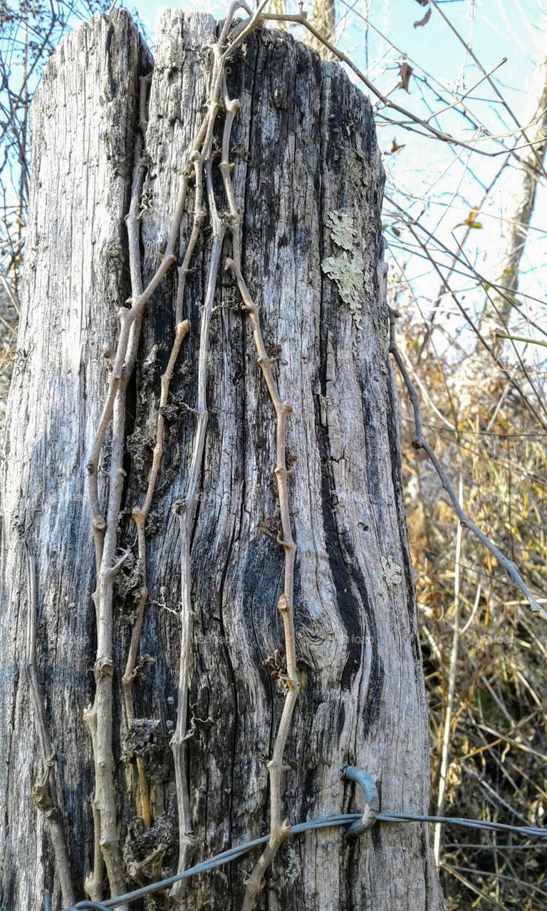 Fence Post