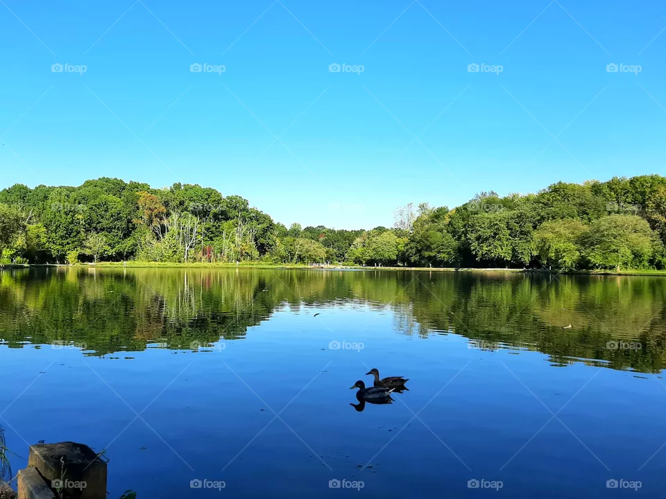 Lake. Nature.