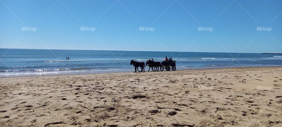 Playa Huelva caballos