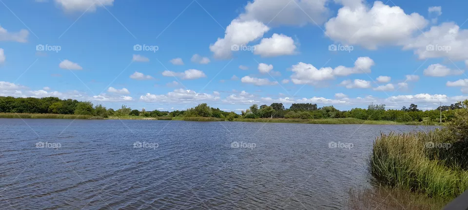 lagoa