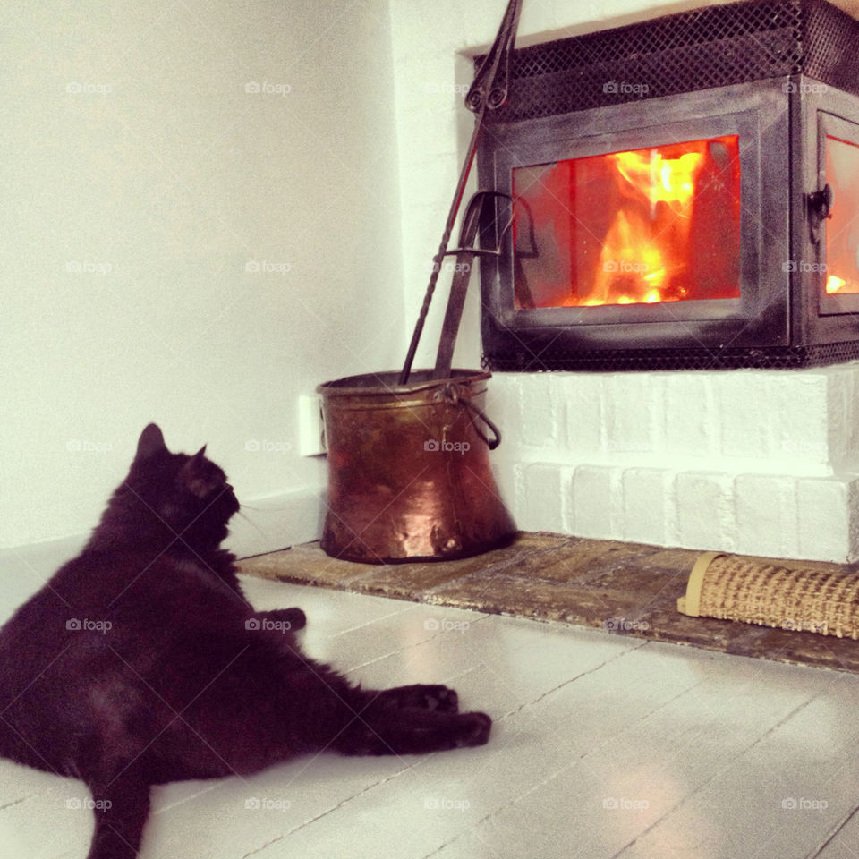 cat fireplace by xmallanx