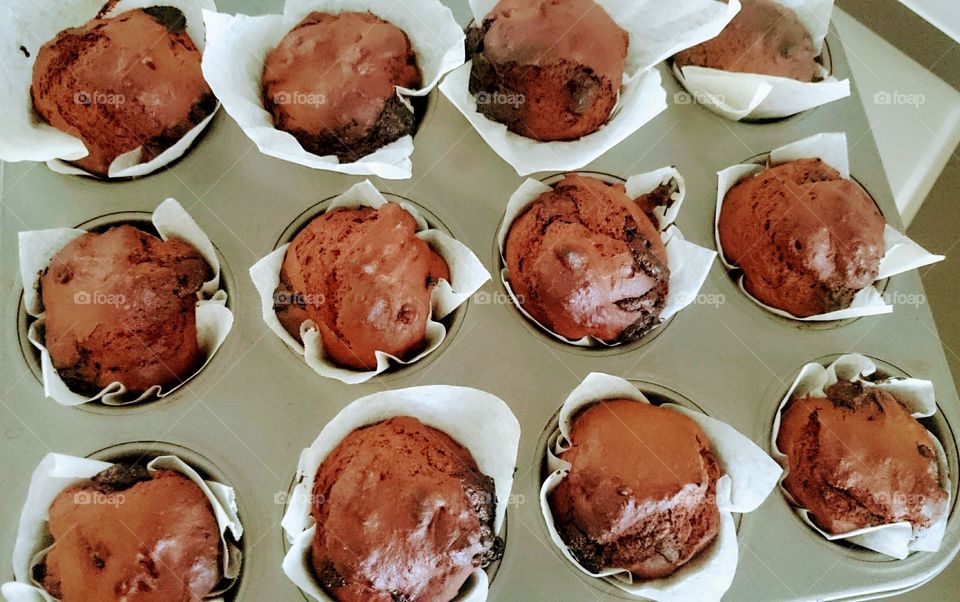 chocolate muffin