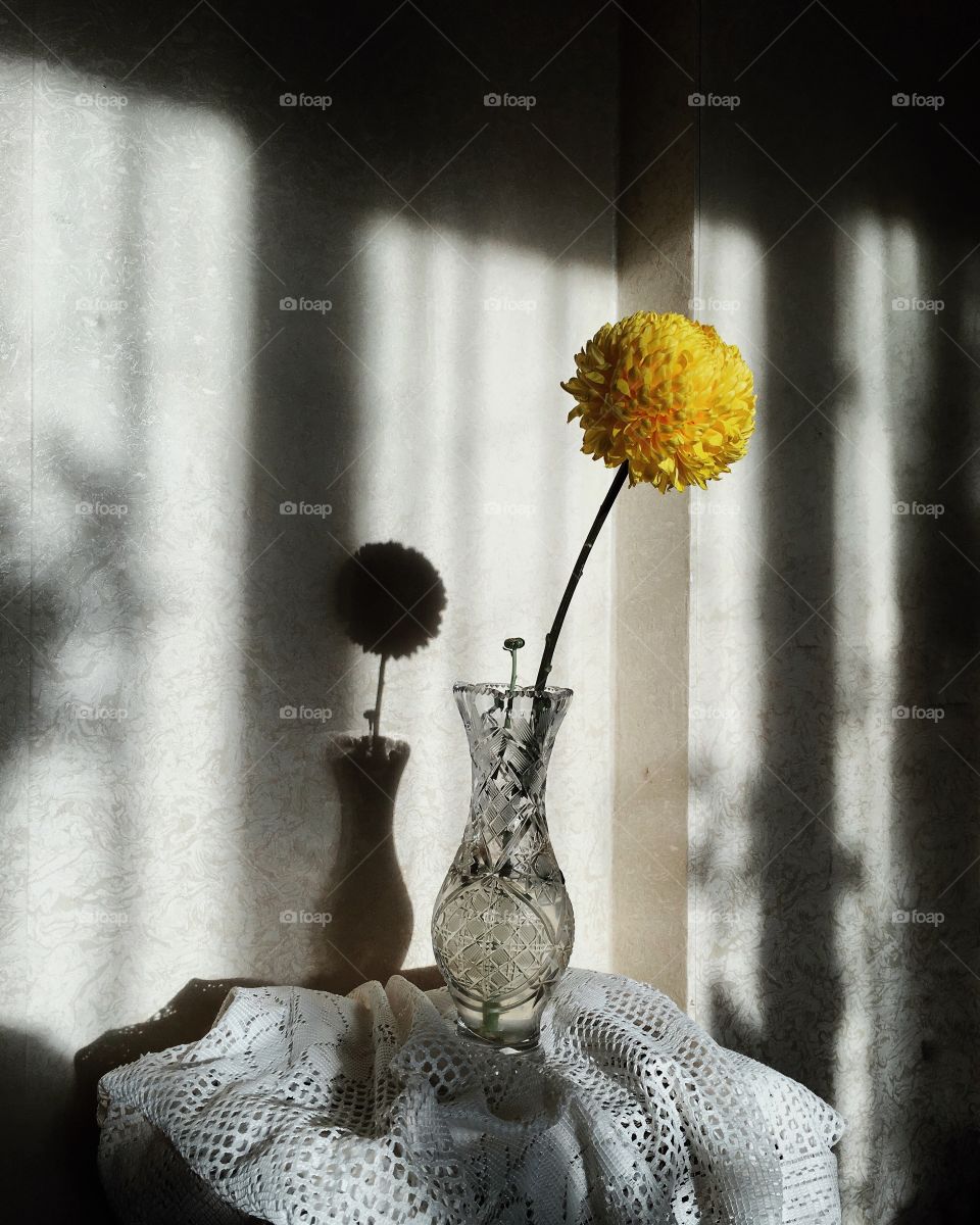 Flower and light 