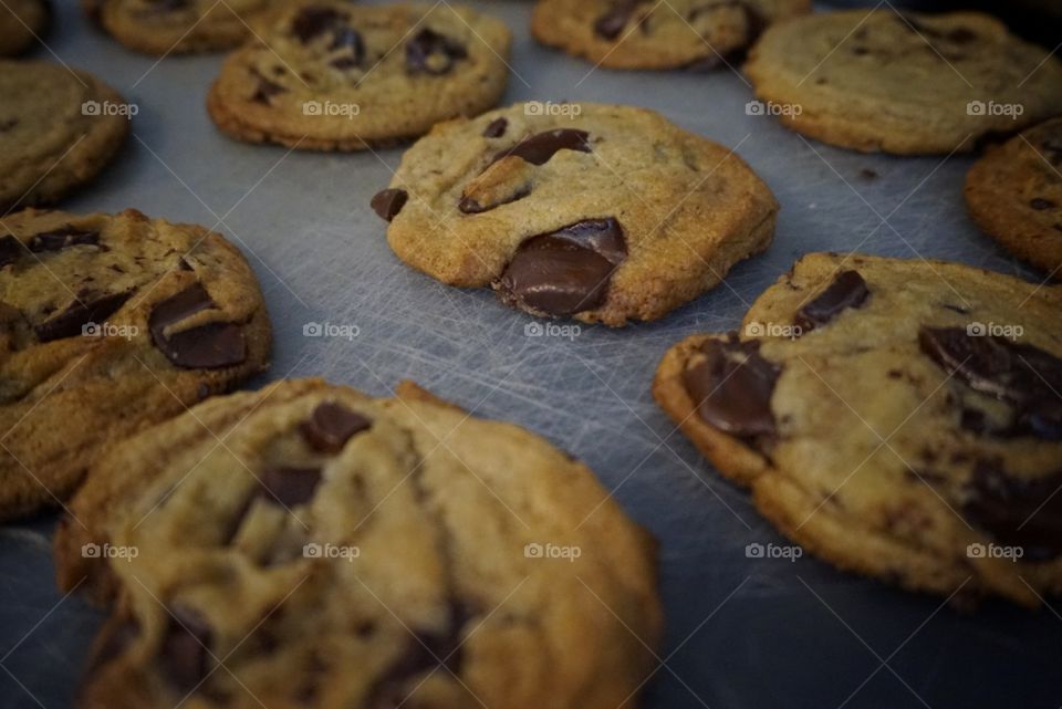 chocolate chip cookies