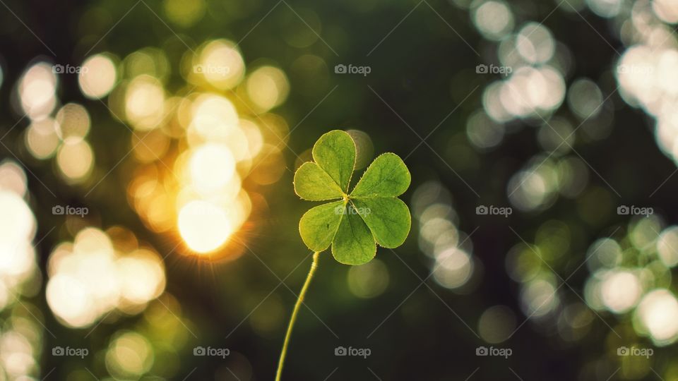 Live life to the fullest, and focus on the positive.