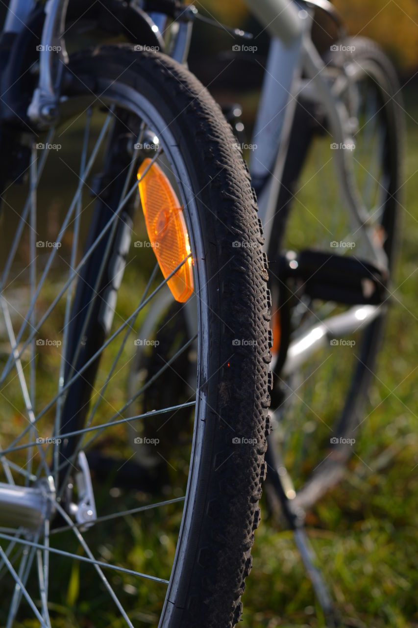 bike on a green grass in the sunlight background