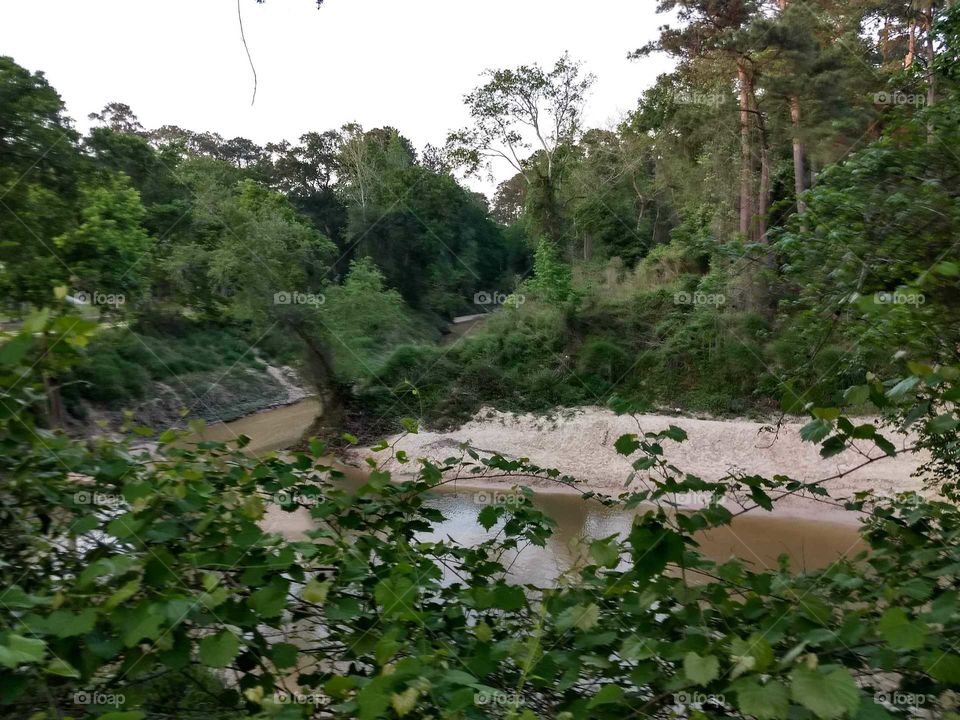 Nature water, sand and trees