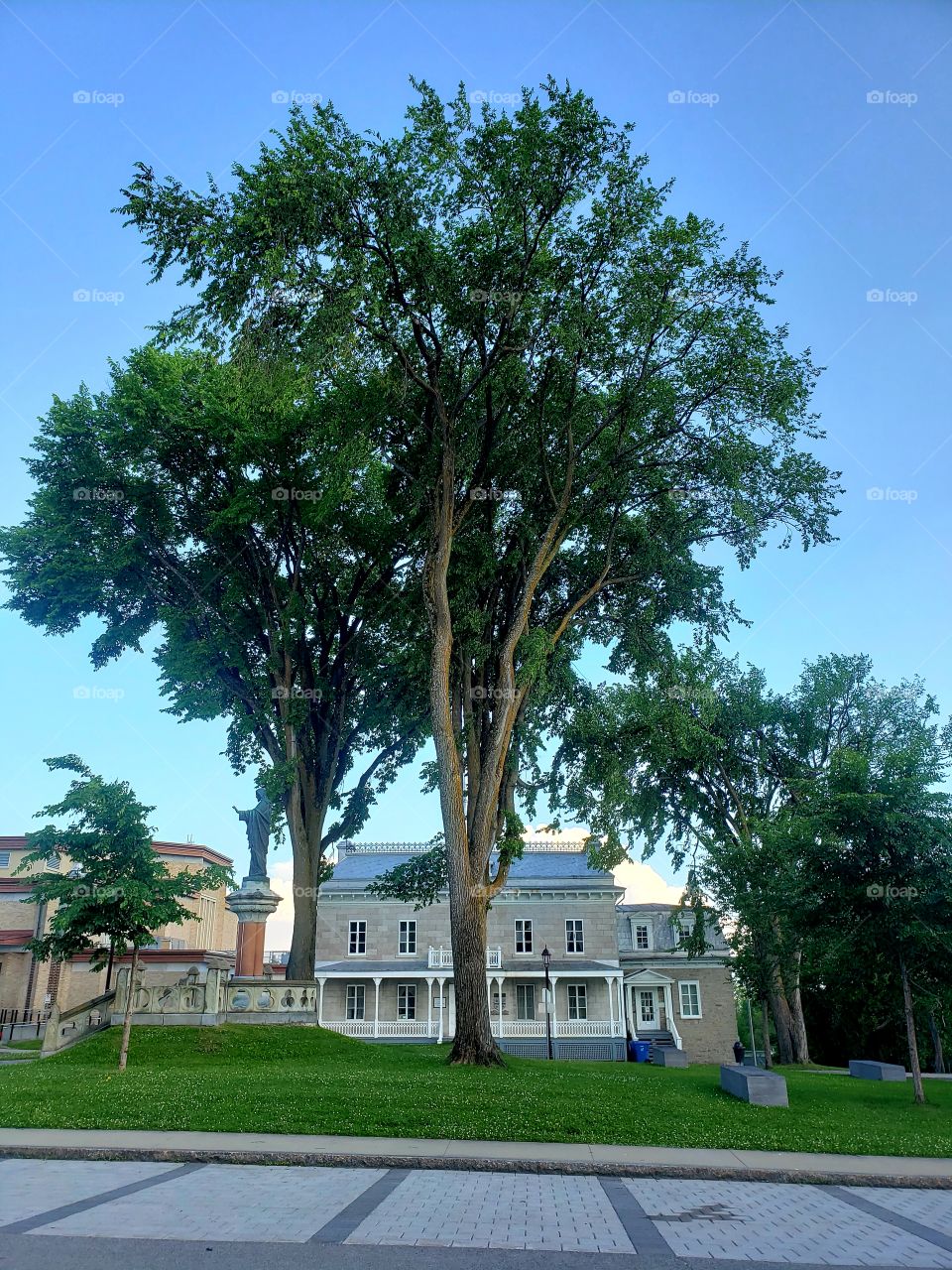 old building and tree