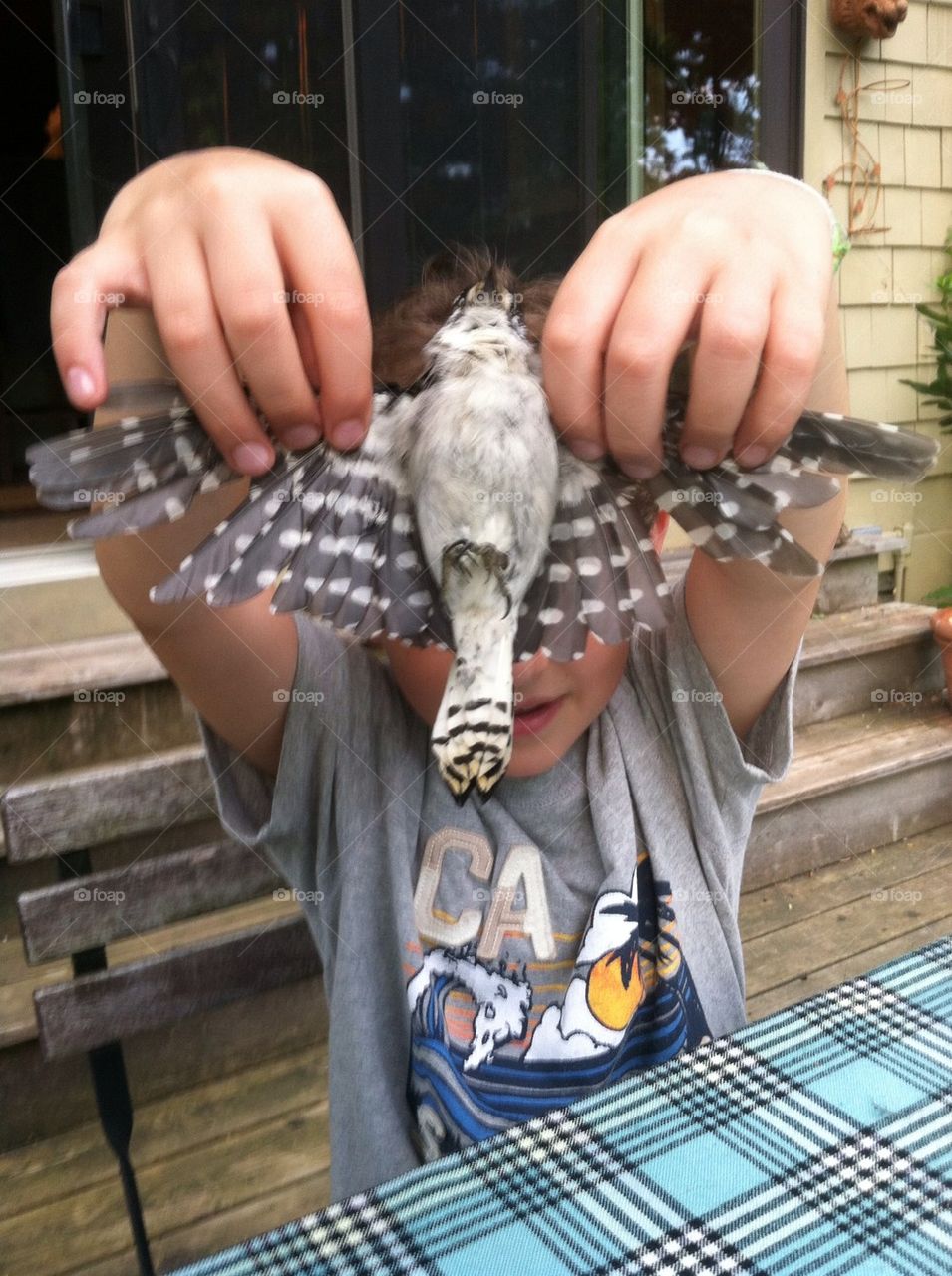 Budding Ornithologist