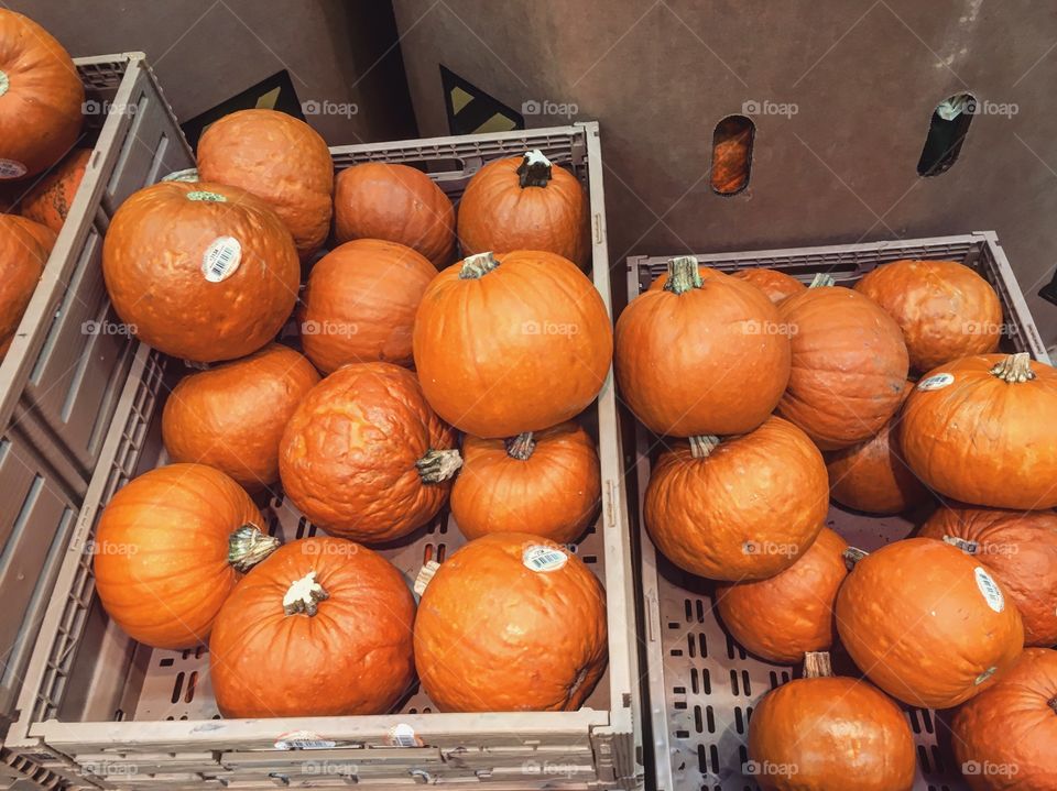 Not all pumpkins are perfect 