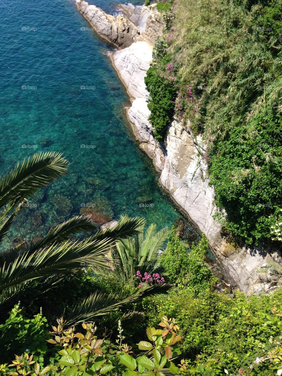 Camogli 