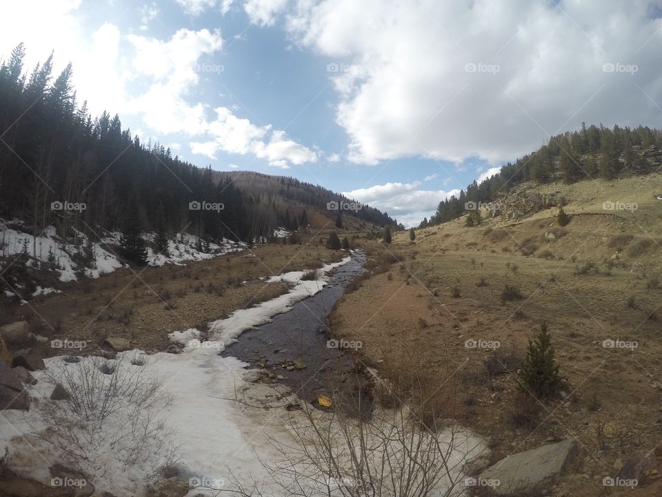 Found on a back road