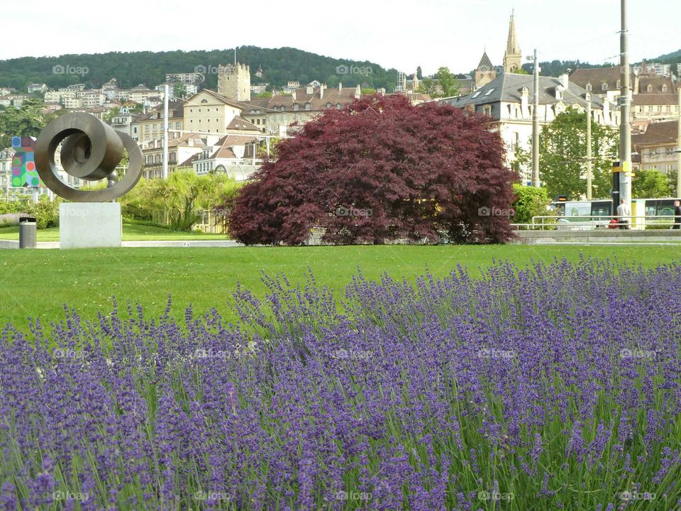 Neuchatel, Switzerland. A beautiful small town on Lake Neuchatel in Switzerland. On a clear day, the Alps form a gorgeous backdrop.