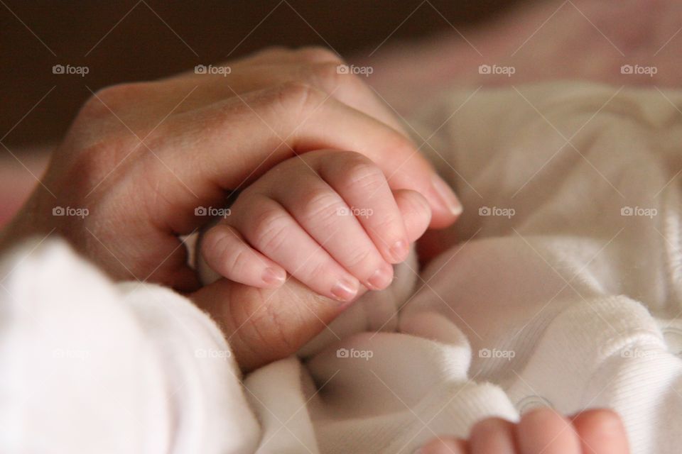 Close-up of newborn baby holdings his mother finger