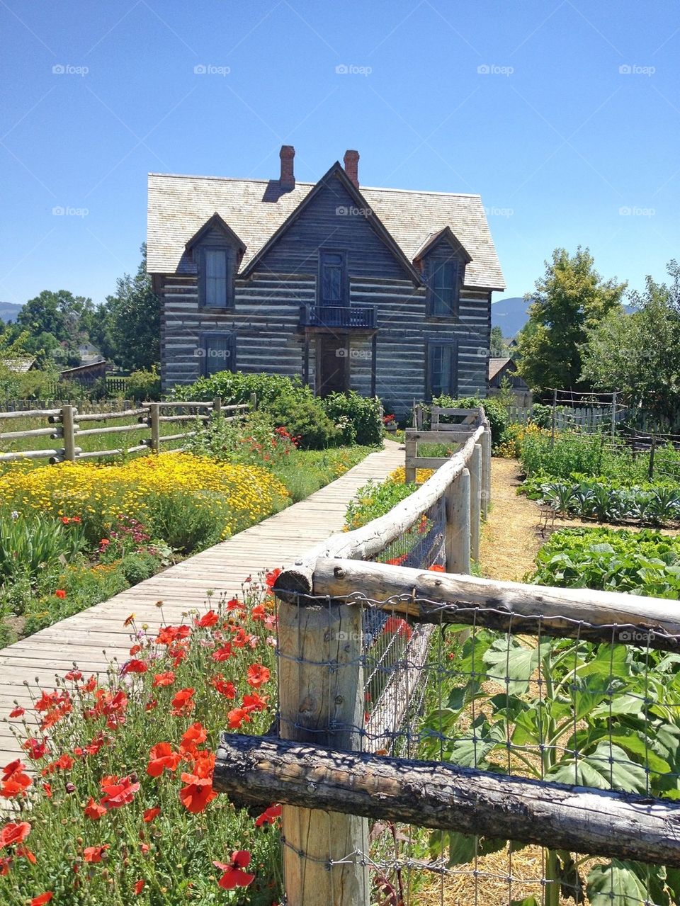 Original Farm House and Flowers