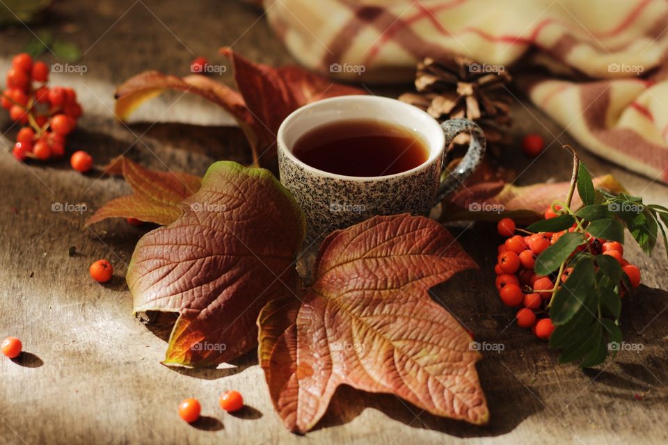 Autumn still life 