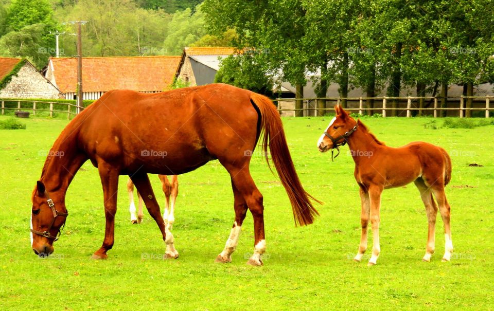 mum and baby