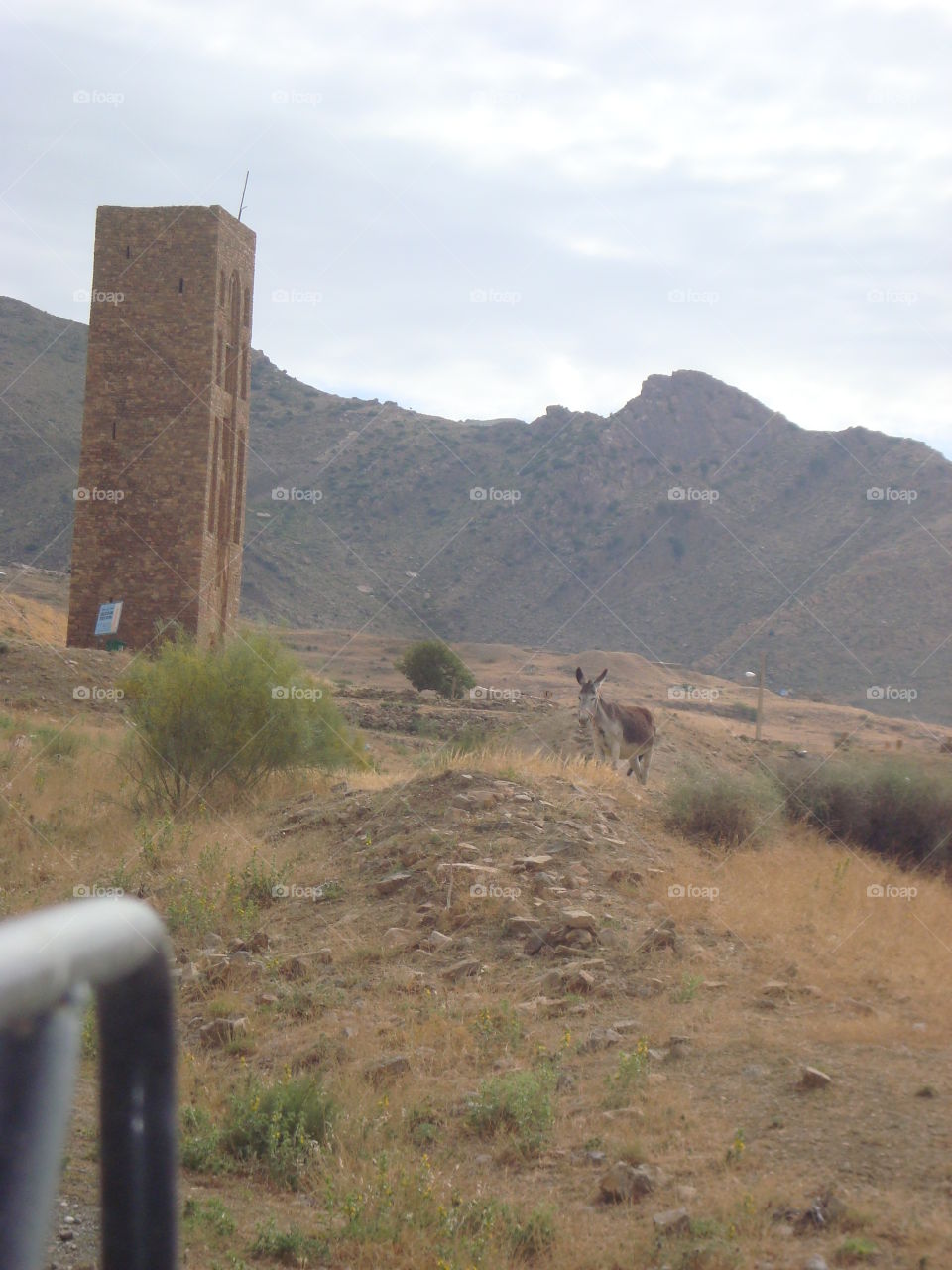Algéria, castle classé by UNESCO
