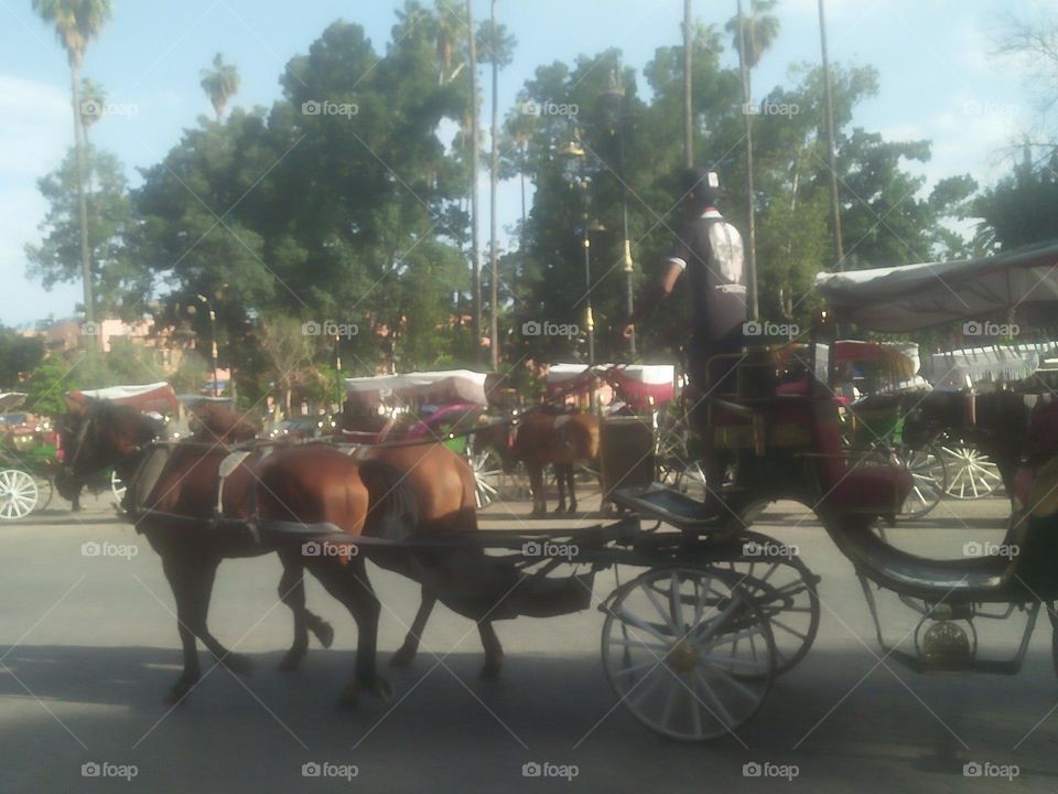 a chariot pulled by horses.