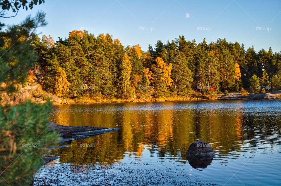 Reflection of autumn trees in lake