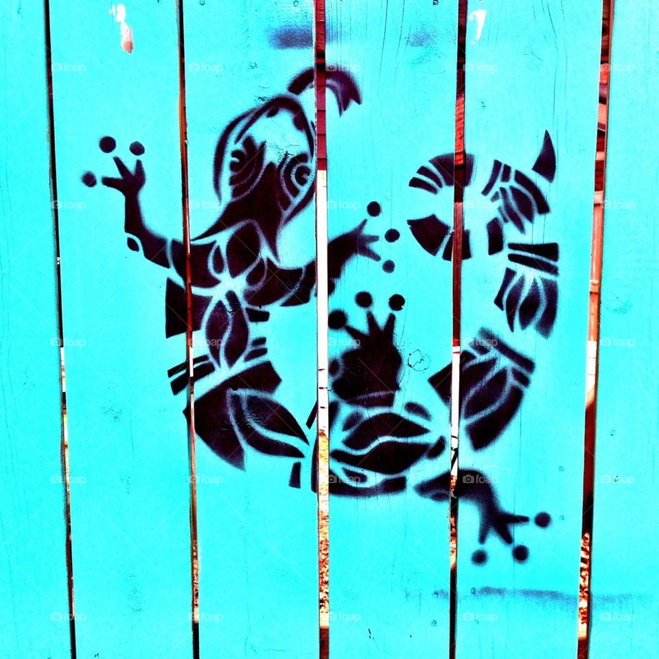 Gecko Graffiti