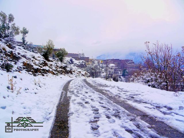 snow on the road