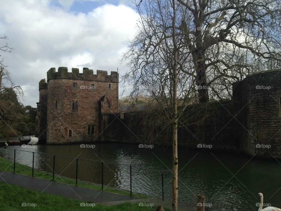 Castle with a Moat