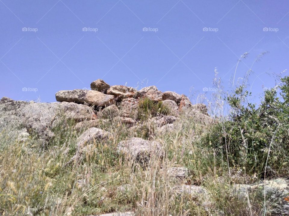 Editors' Choice - Photo of the Week