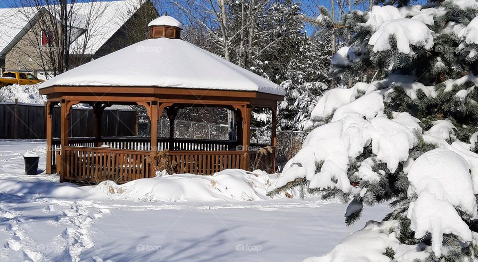 Garden Gazebo