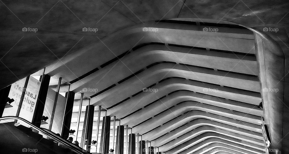 termini station roof