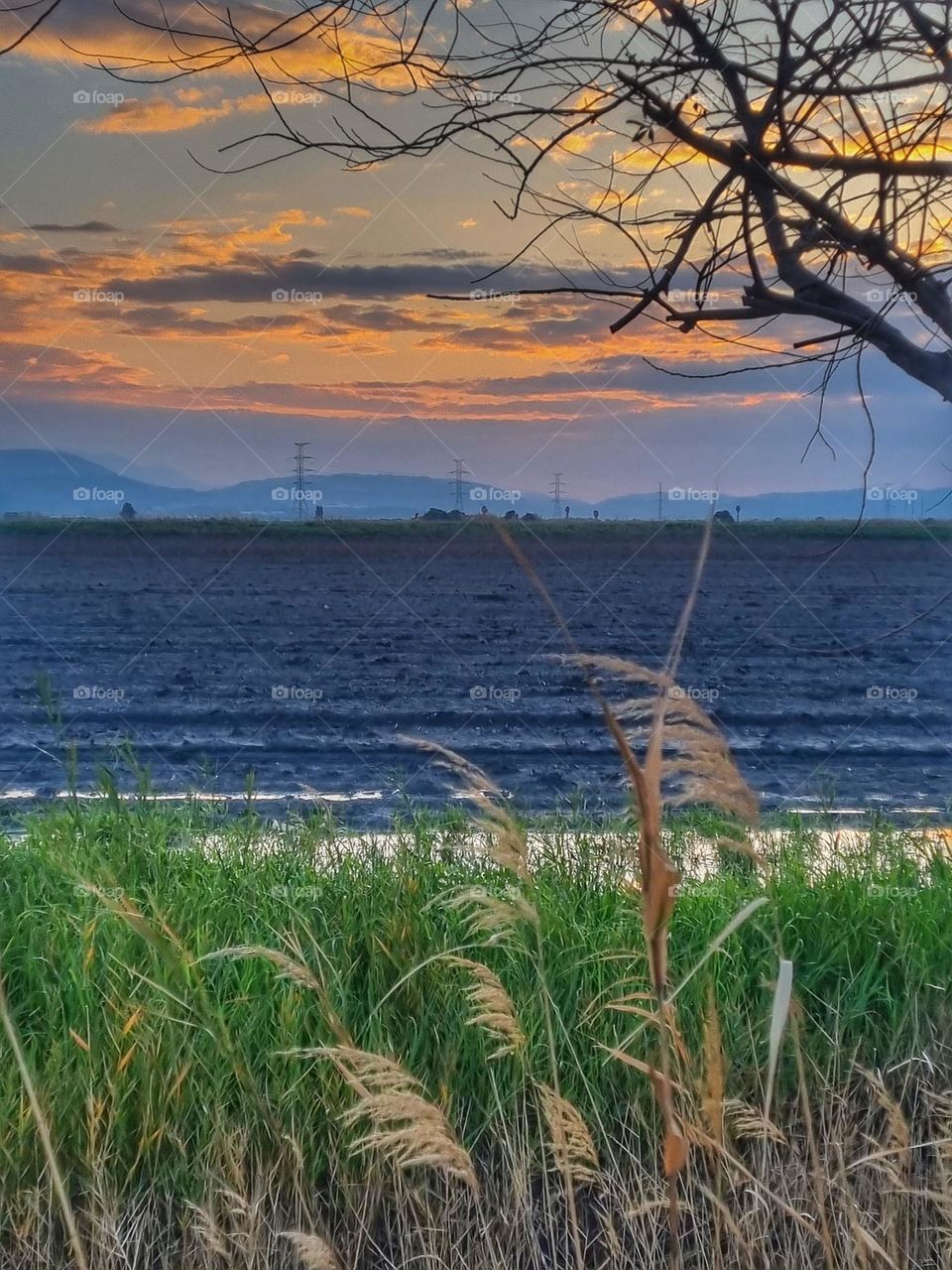 agriculture sunrise sunset sky clouds