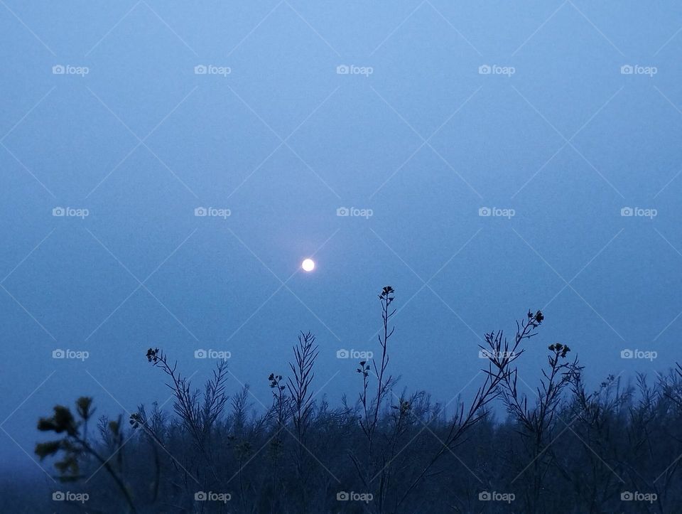 morning sunrise landscape photography