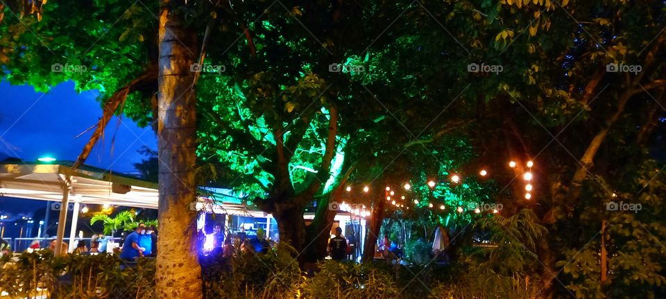 Lagoa Rodrigo de Freitas