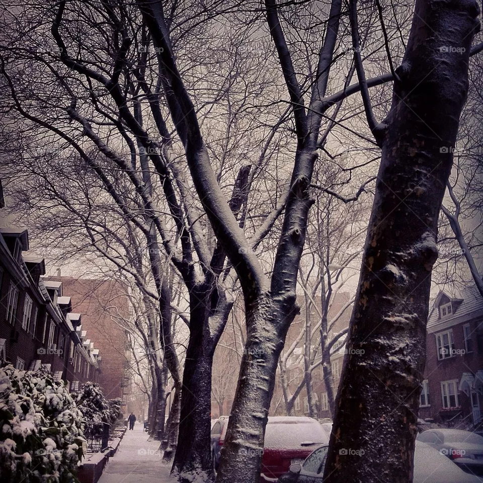 Winter
