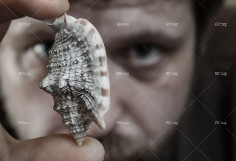 Seashells