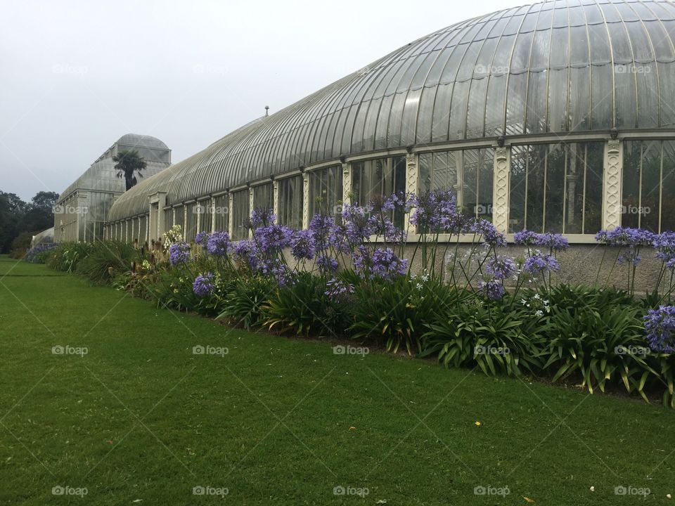 Greenhouse, Conservatory, Garden, Building, Architecture