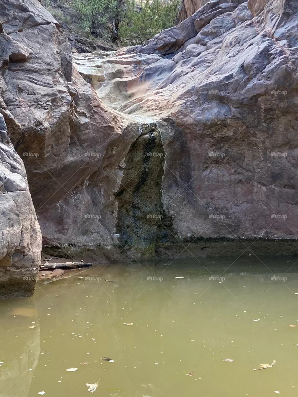 Murky water 