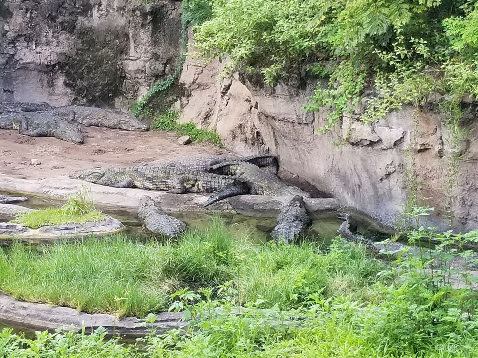 Nature, Water, Landscape, Wood, Stone