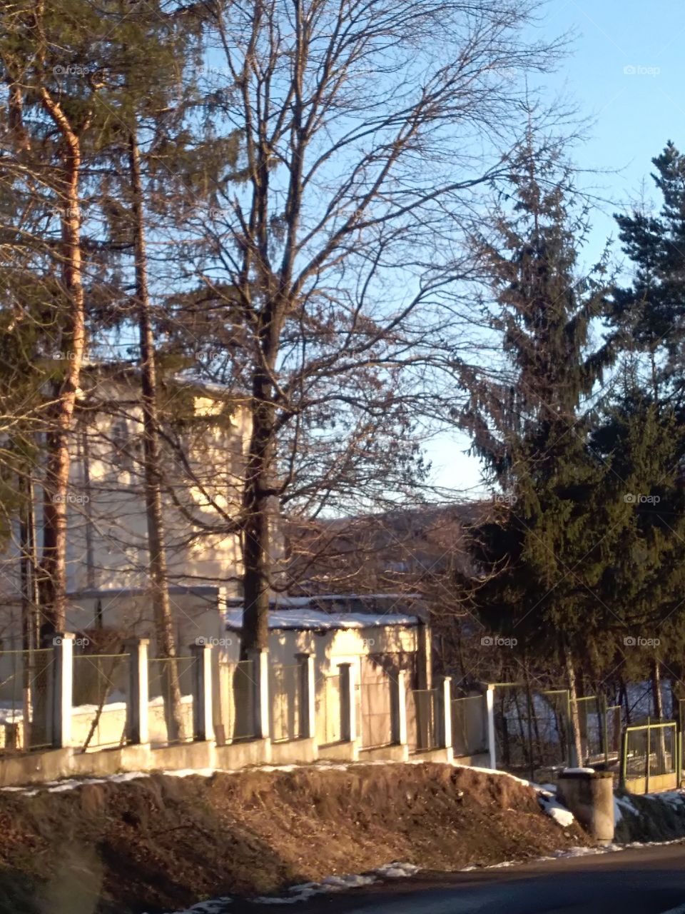 building with fence and trees